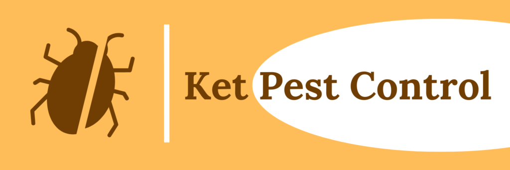 KET PEST Control photo 5